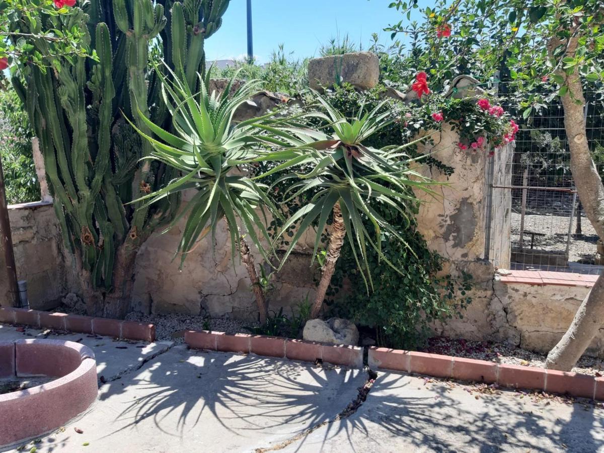 Appartamento La casa in Campagna Chiesa Nuova  Esterno foto